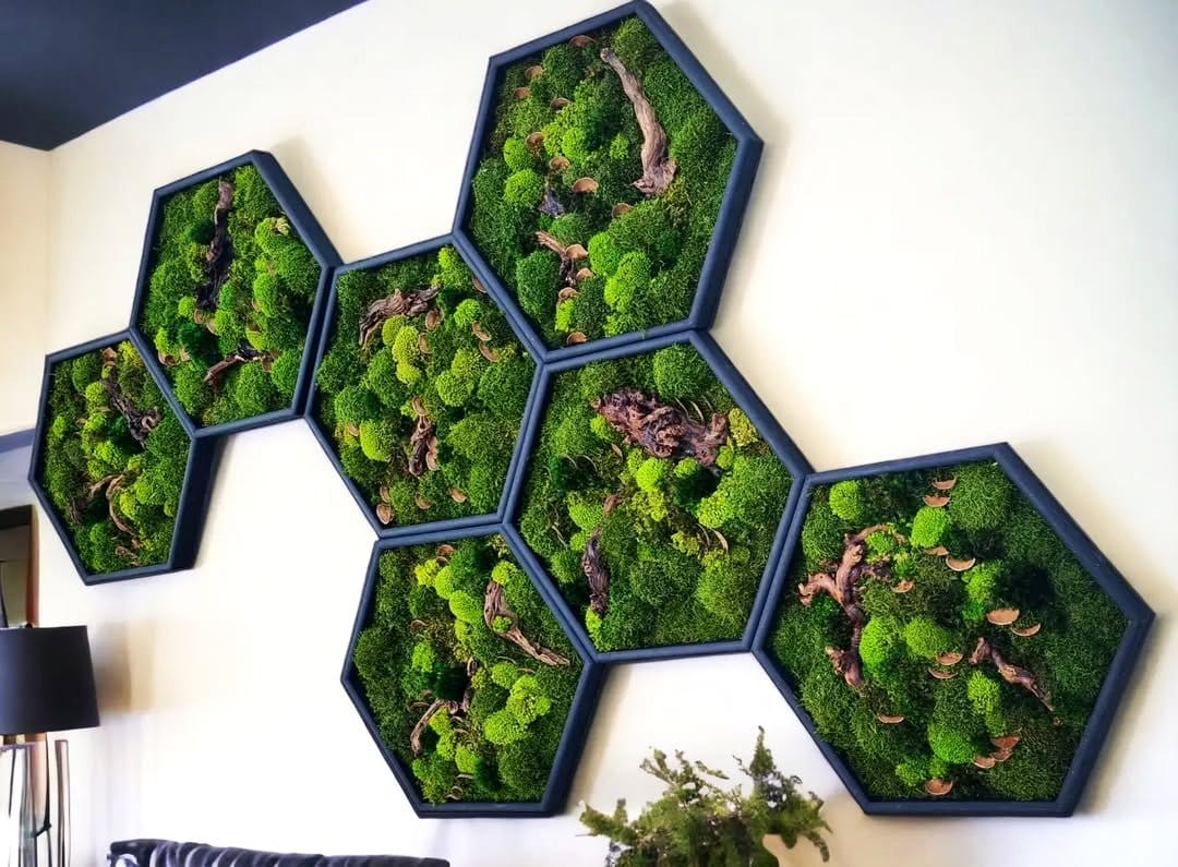 Elegant picture frame with glowing moss border