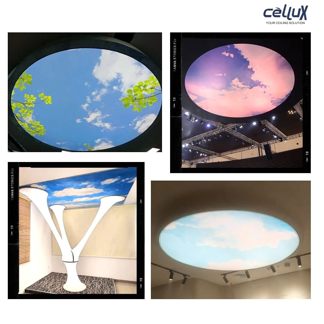 skylight in ceiling