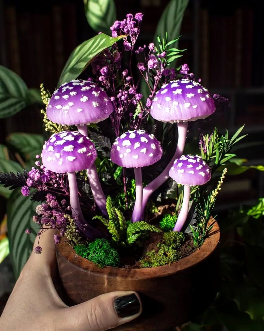 Glowing fairy lantern amidst moss