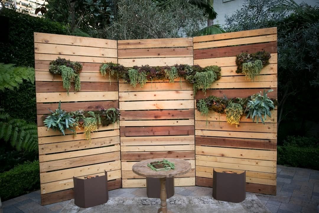 Star-shaped succulent arrangement with compass rose theme