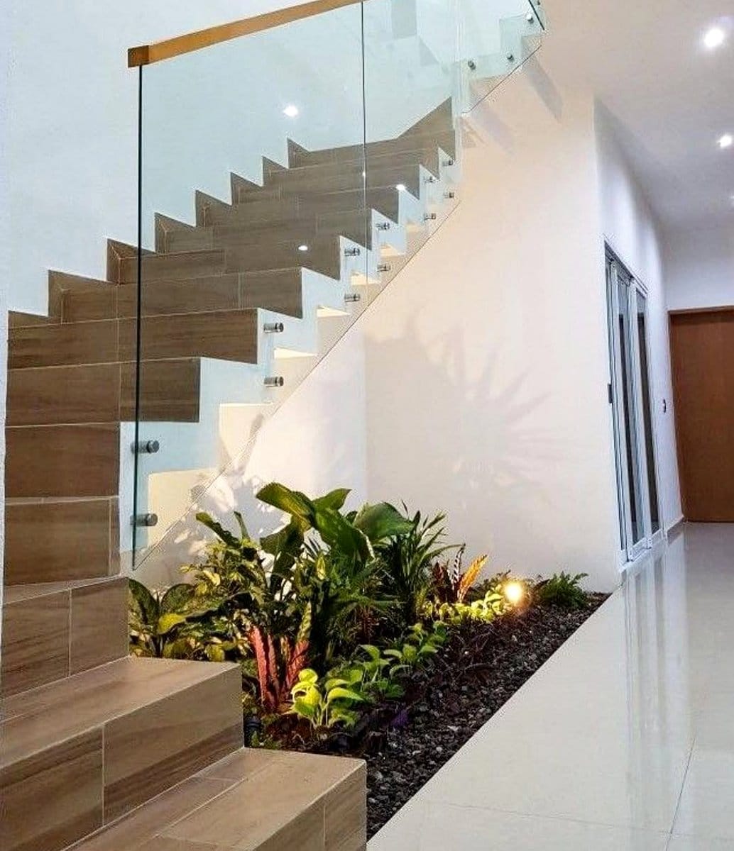 under-stair space with rare ferns