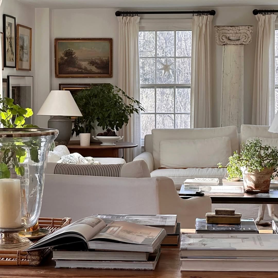 jade plant on a coffee table