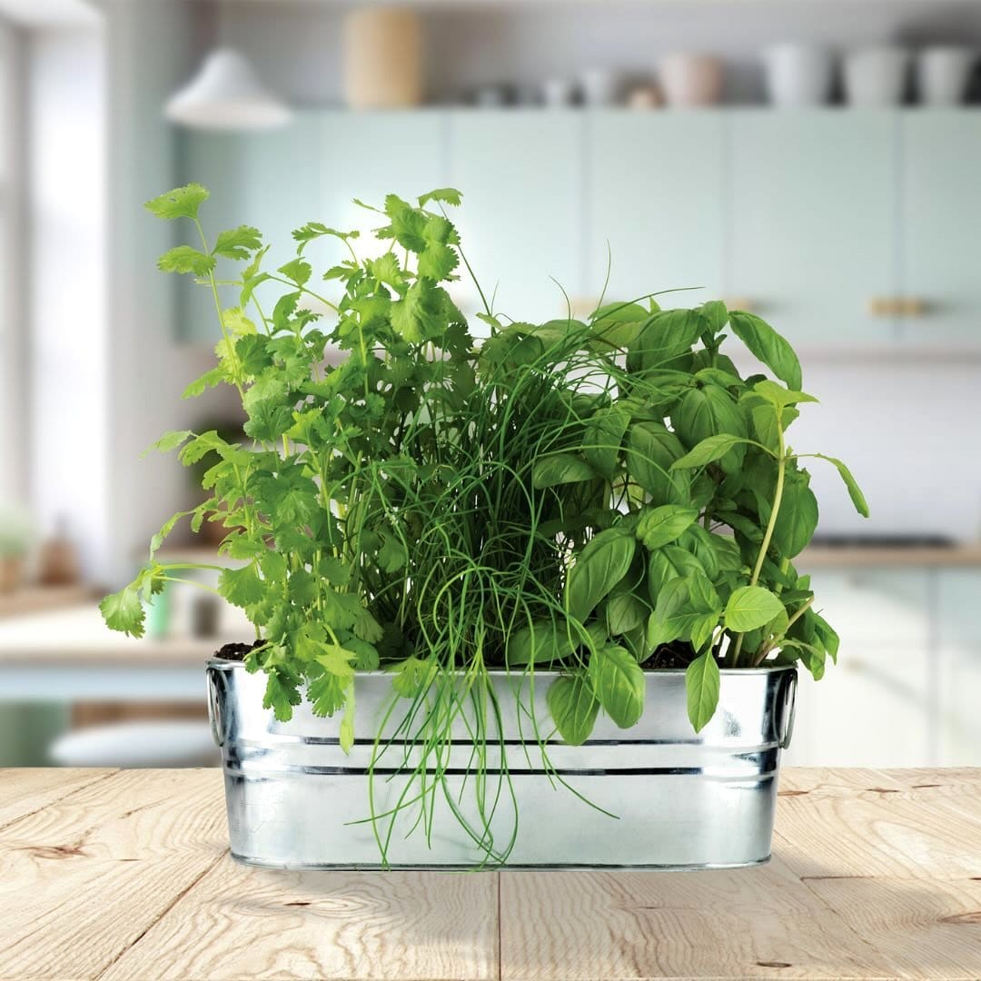extended window sill with potted herbs