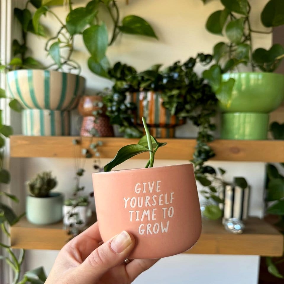 Large raindrop glass planter in living room