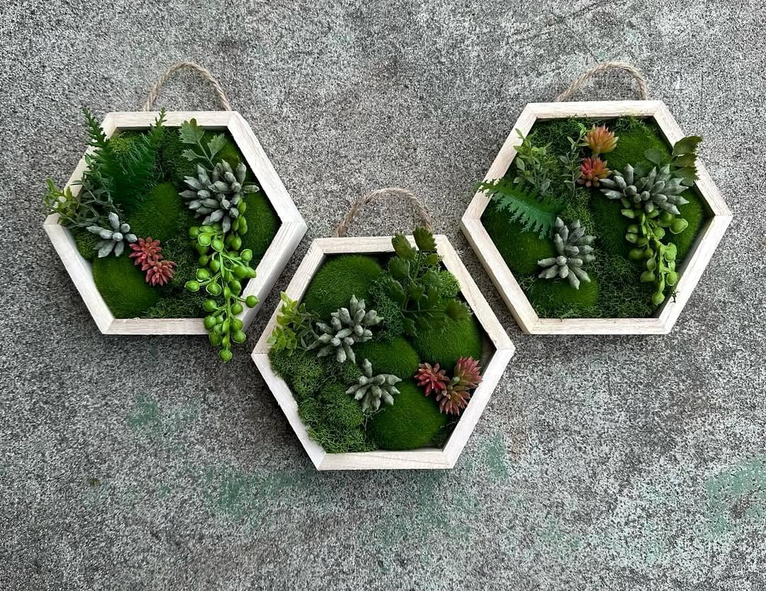 Monochrome wall-mounted plant frames with succulents