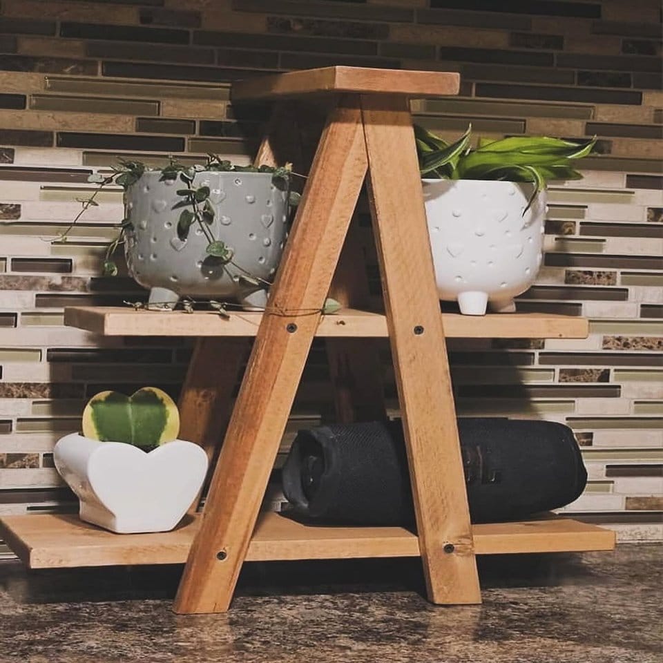 Bamboo ladder shelf with hanging plants
