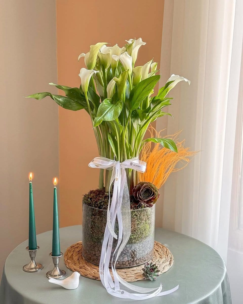 peace lily in a clear vase