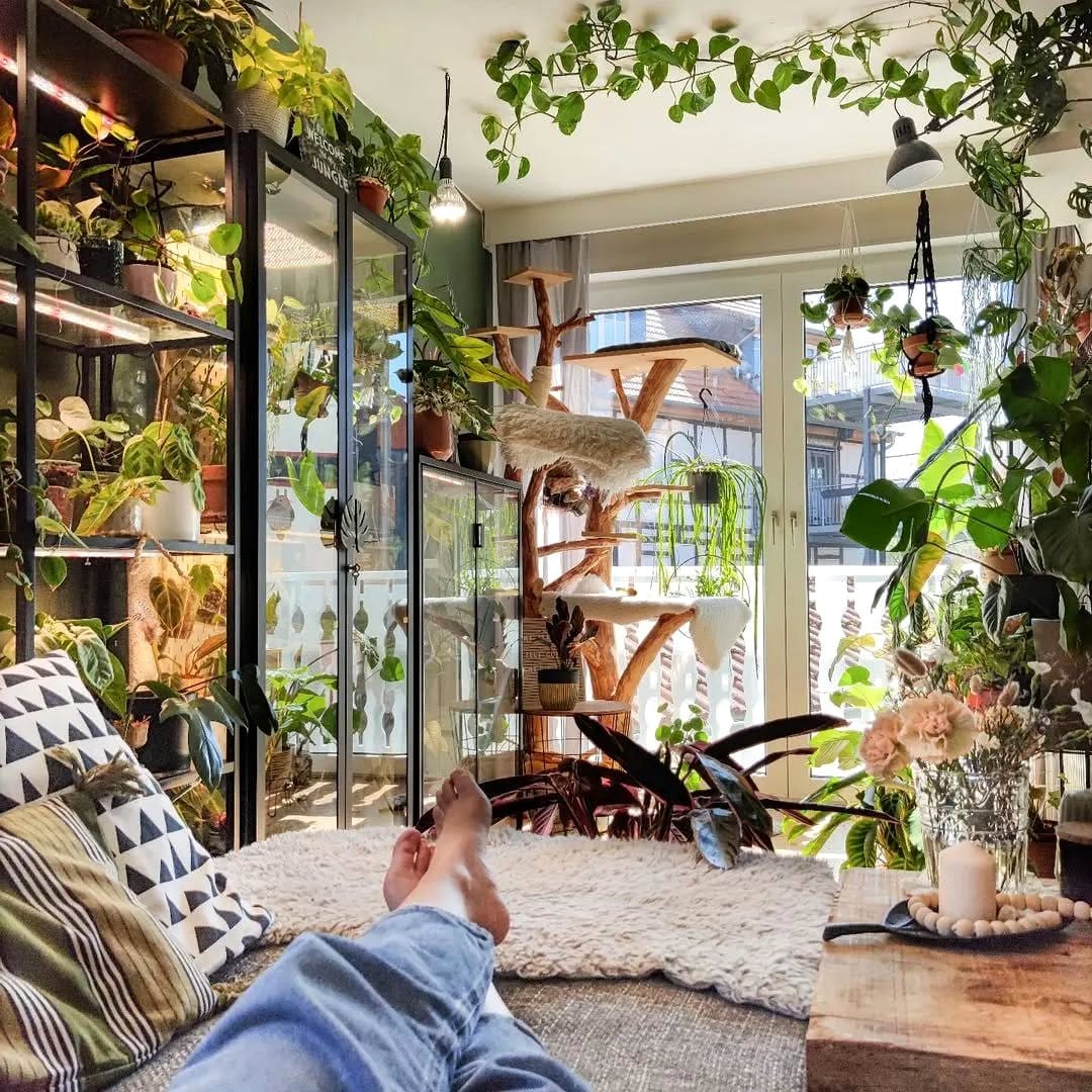 Dense chrome plant shelf jungle