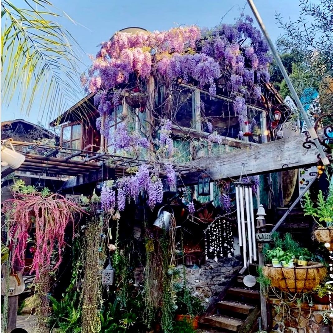 Pergola draped with blooming wildflowers