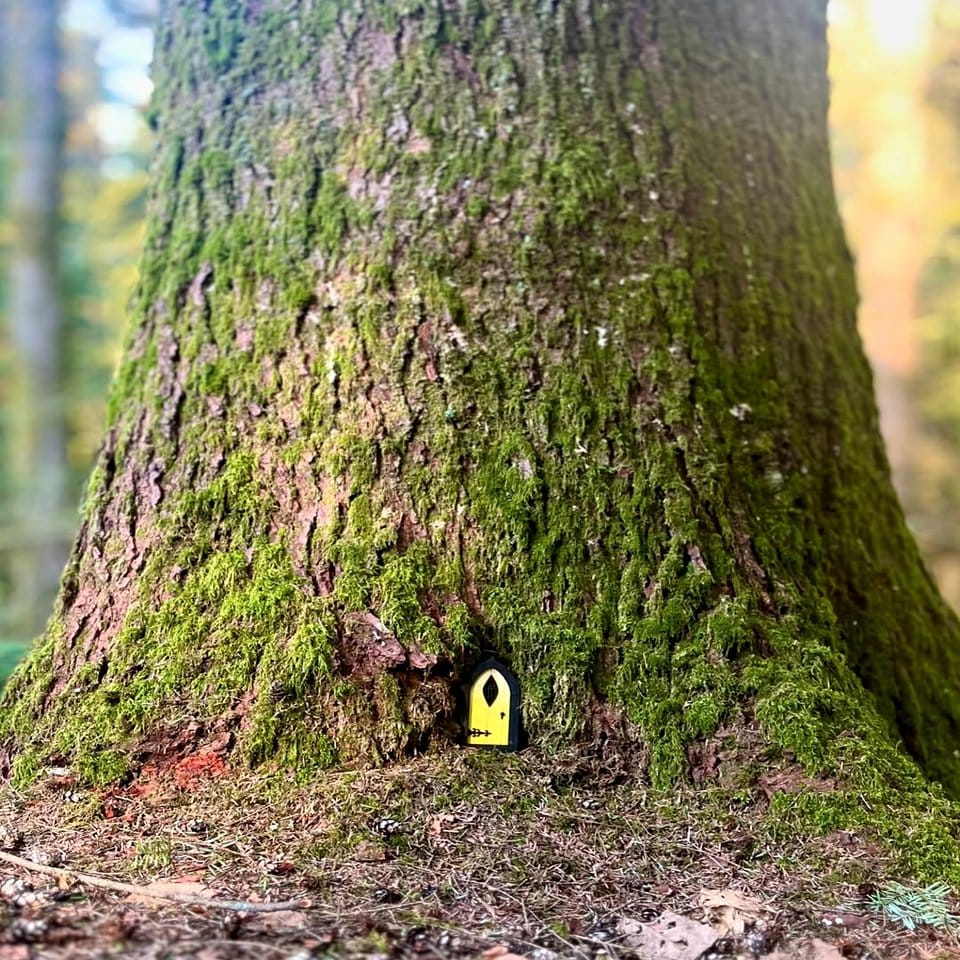 Tiny decorative fairy door among moss