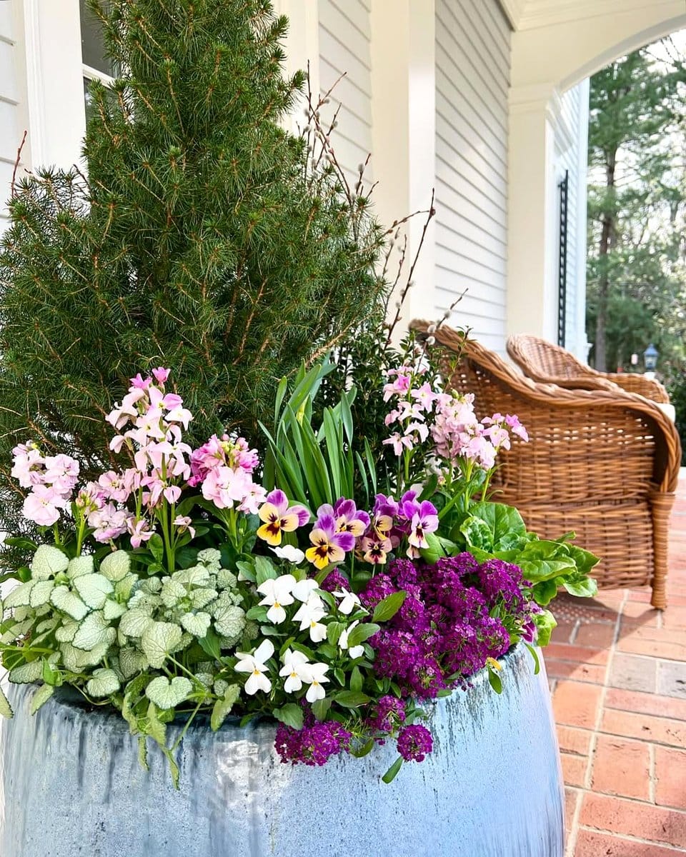 large statement plant