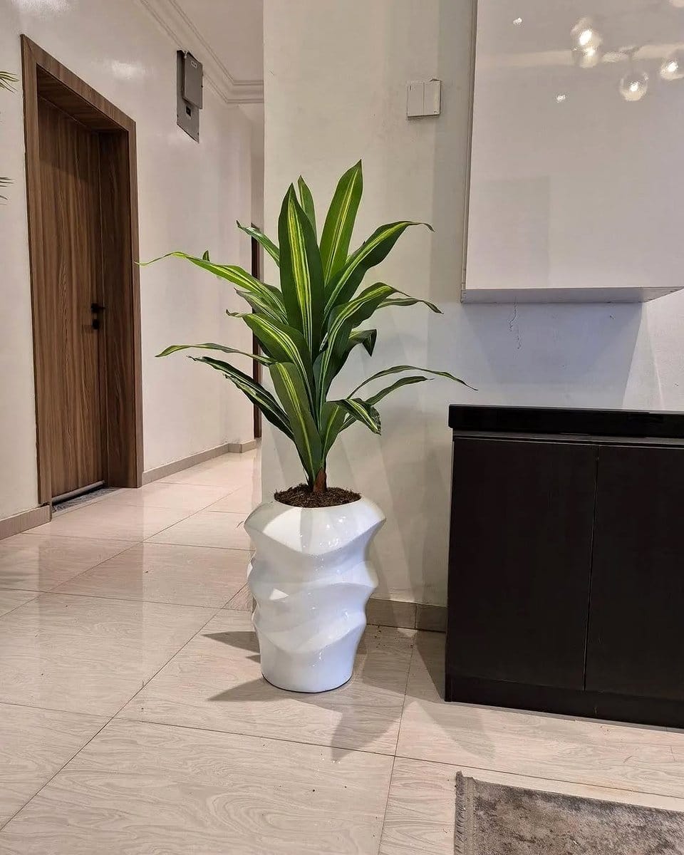 bamboo palm beside work desk