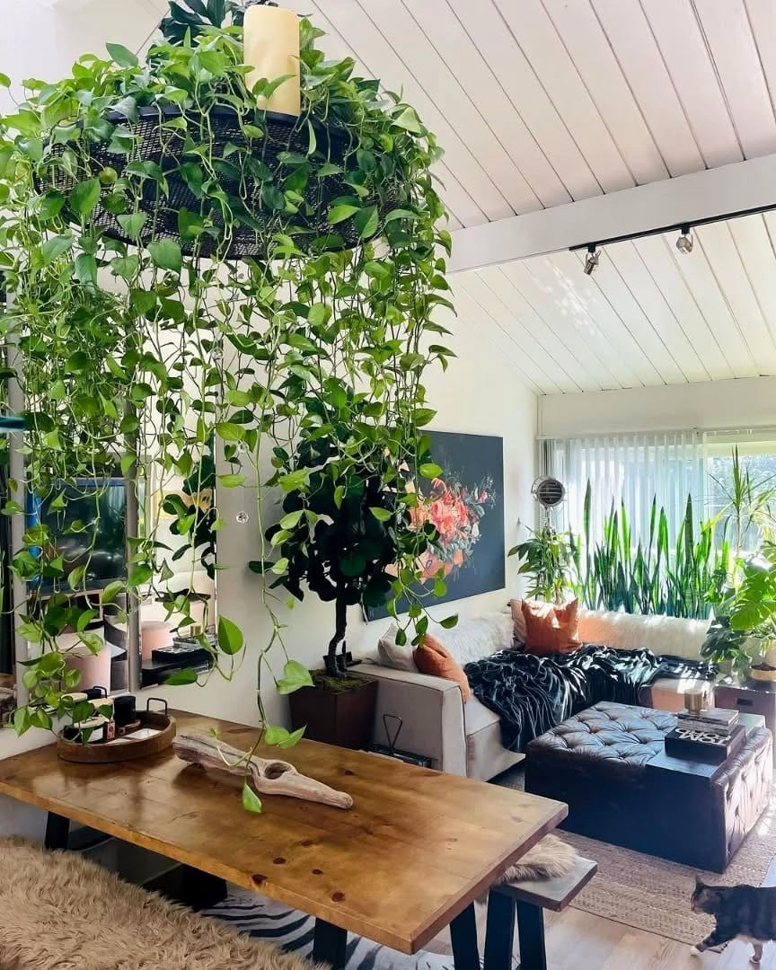 Dining room decor with Siberian Fur and moss