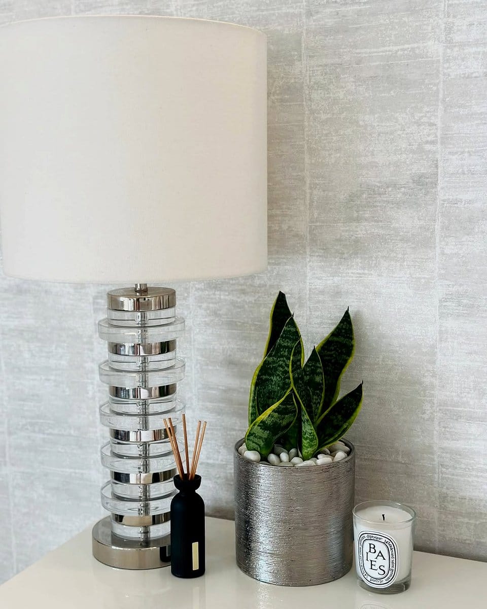 snake plant on nightstand