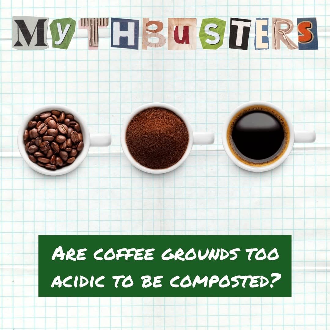 coffee grounds in compost bin