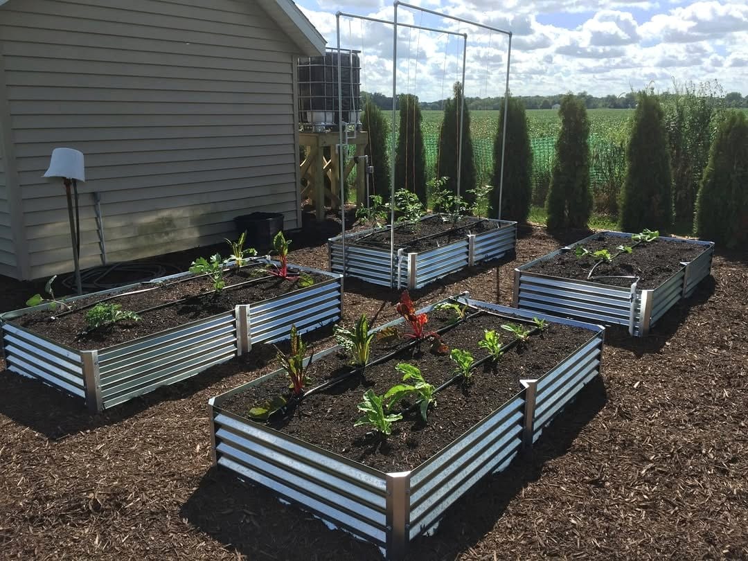 drip irrigation system in garden