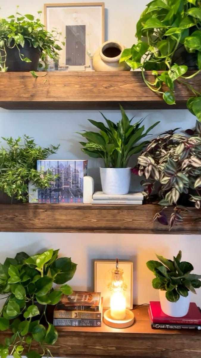 corner floating shelves with succulents