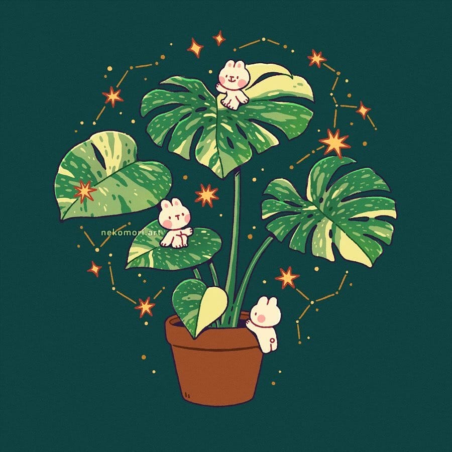 Monstera leaf print wallpaper