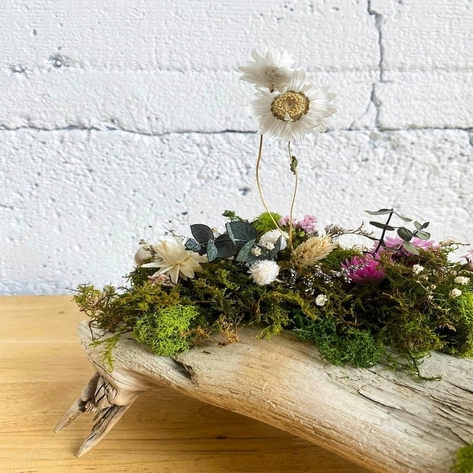 Driftwood with fabric tassel plant display