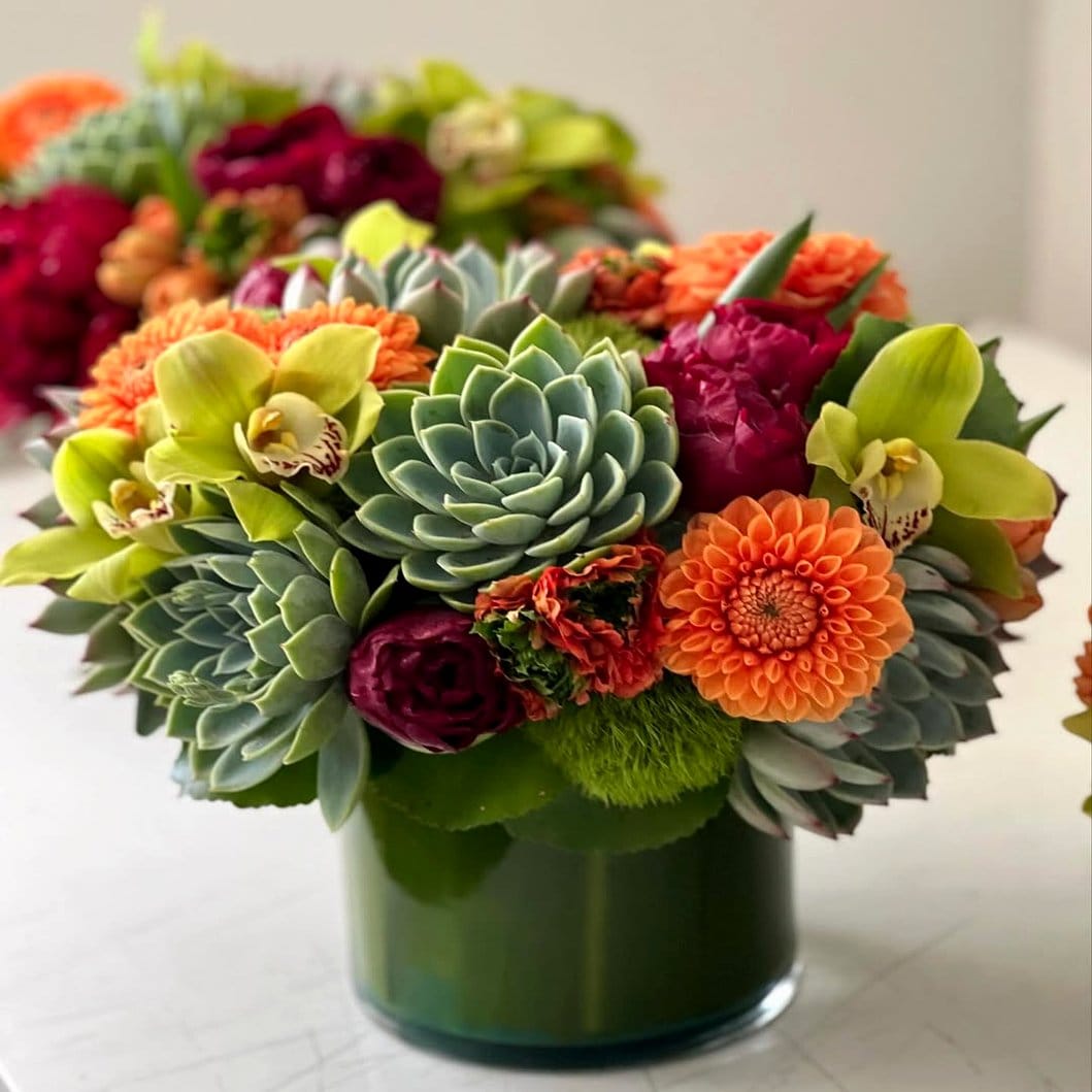 Modern display of citrus and succulents