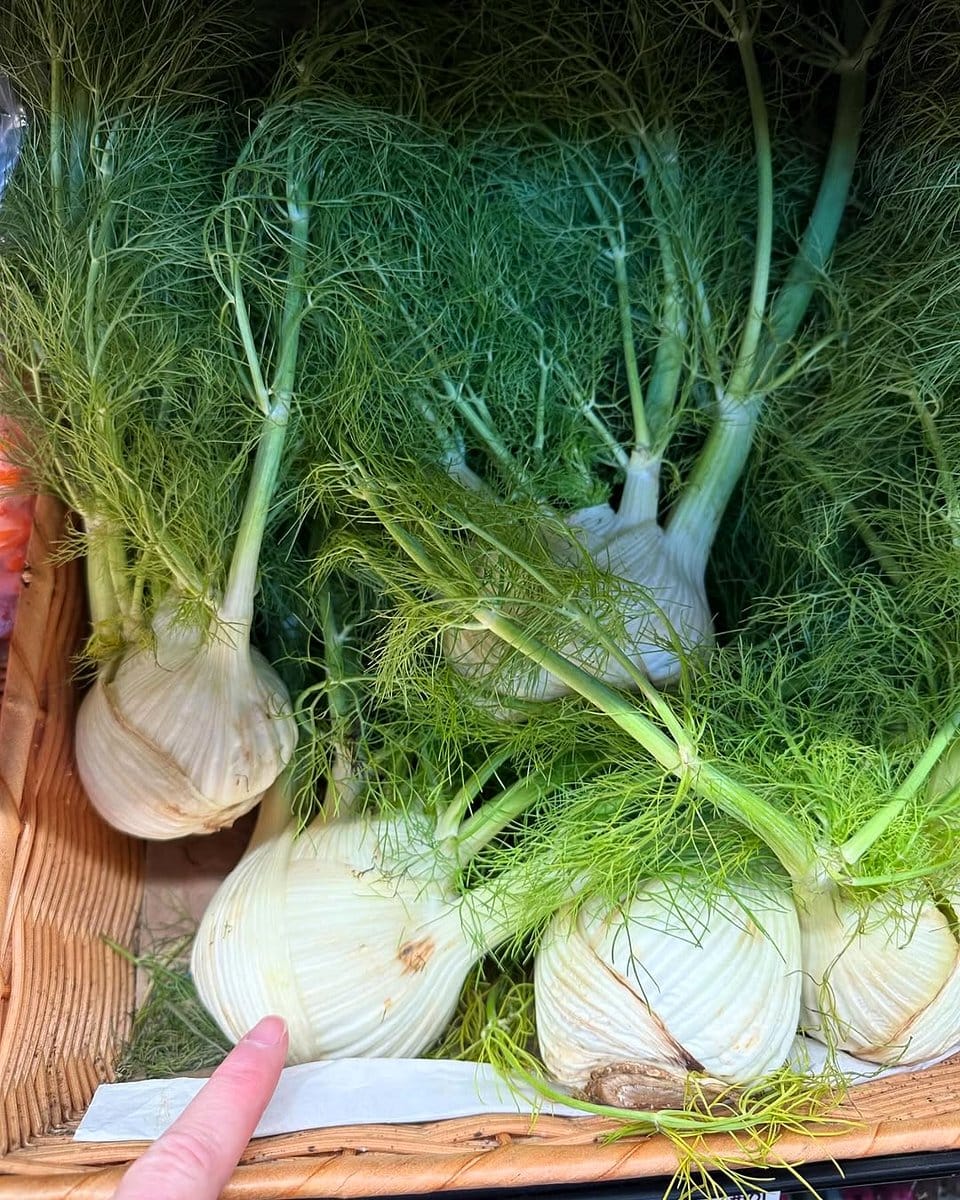 fennel bulb in kitchen
