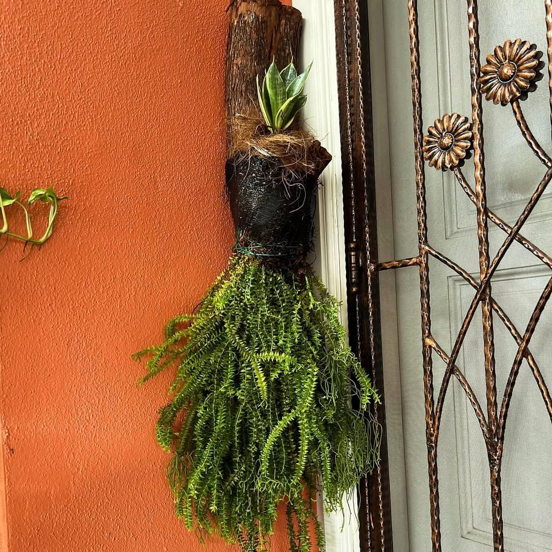 Violin wall planter with trailing plant