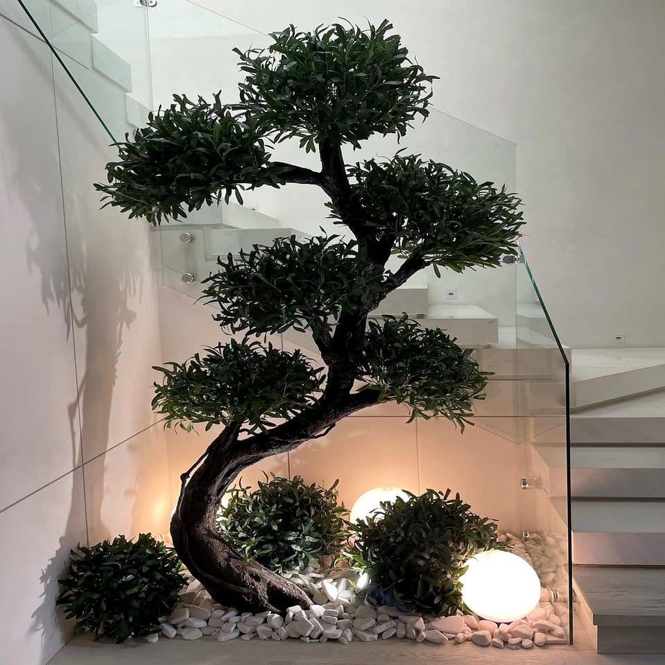 Asymmetrically arranged bonsai trees