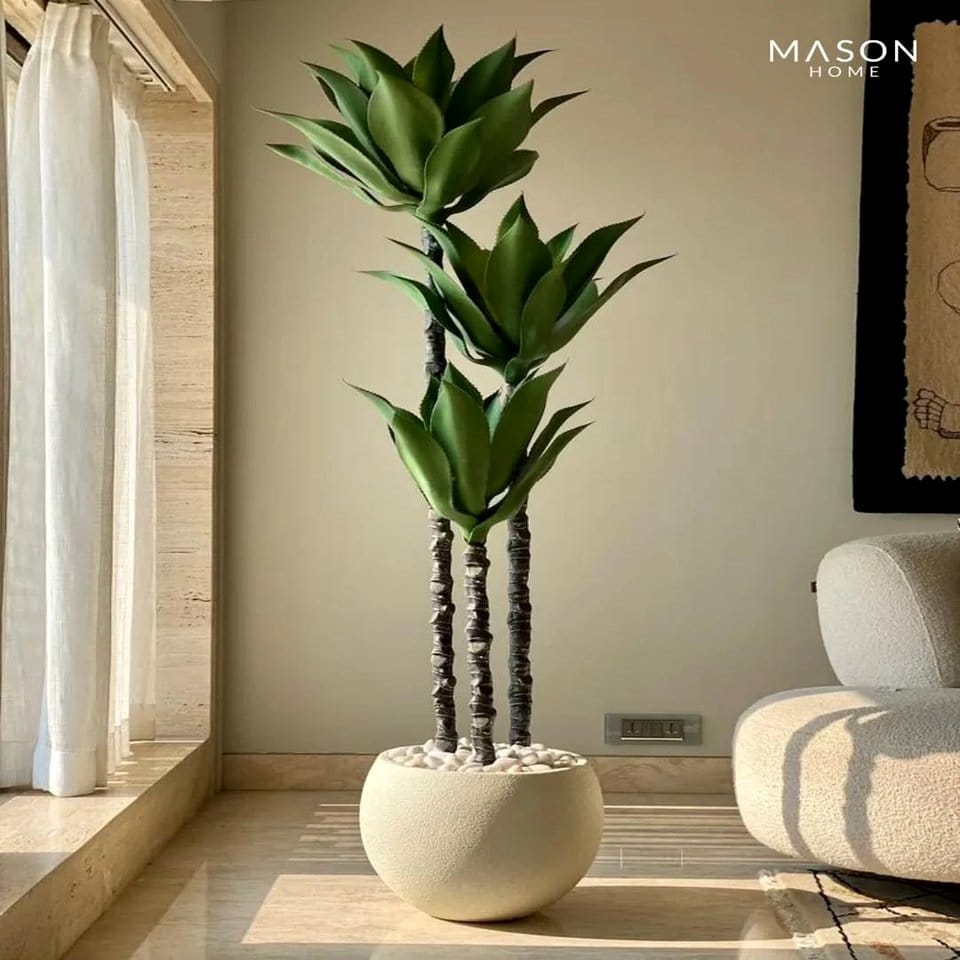 Sculptural geometric vases with plants