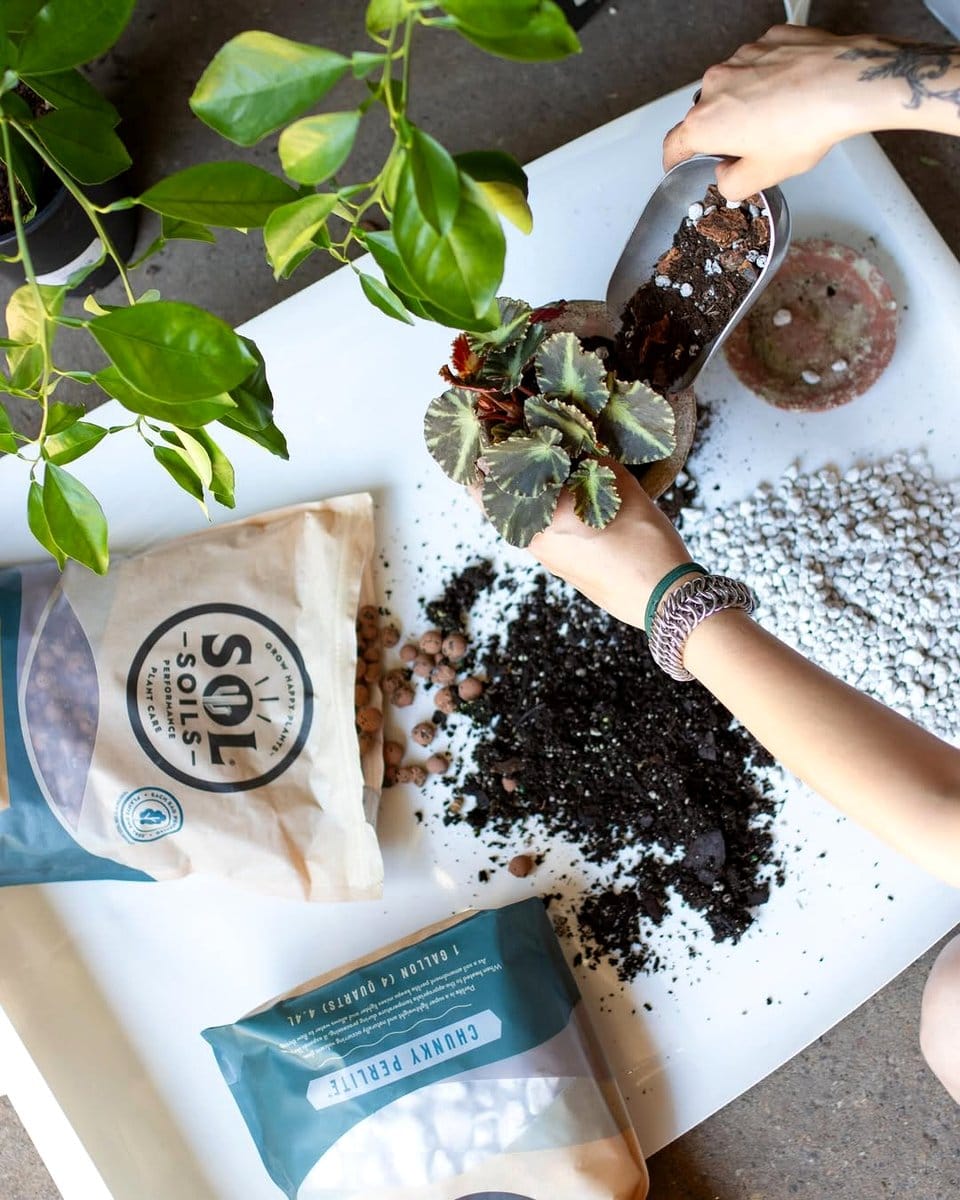 hands mixing perlite in soil