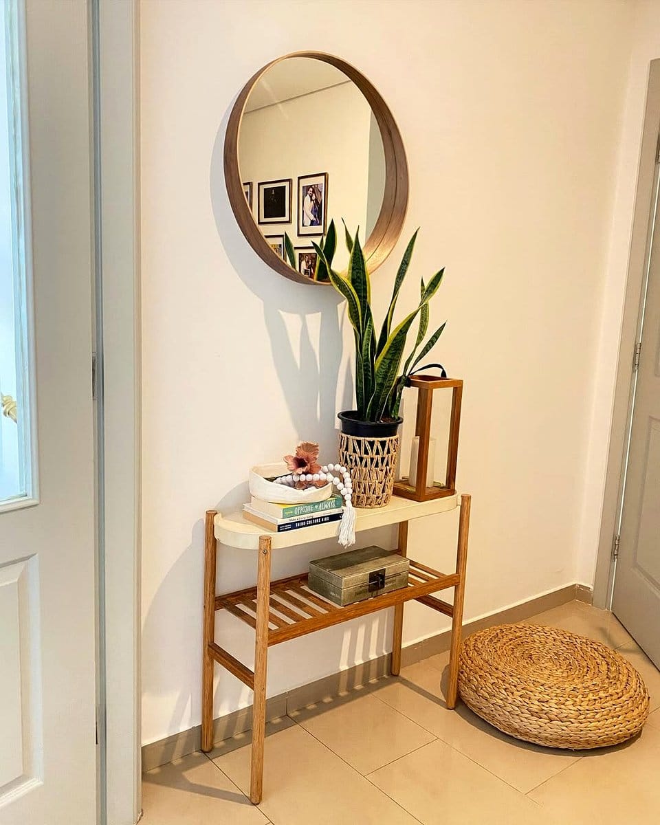 entryway with mirror and plant