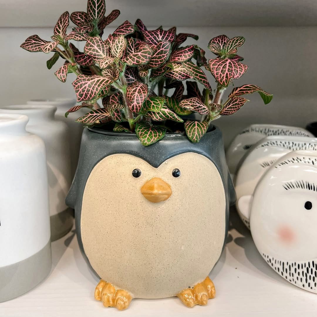 Animal print plant pots with wild designs