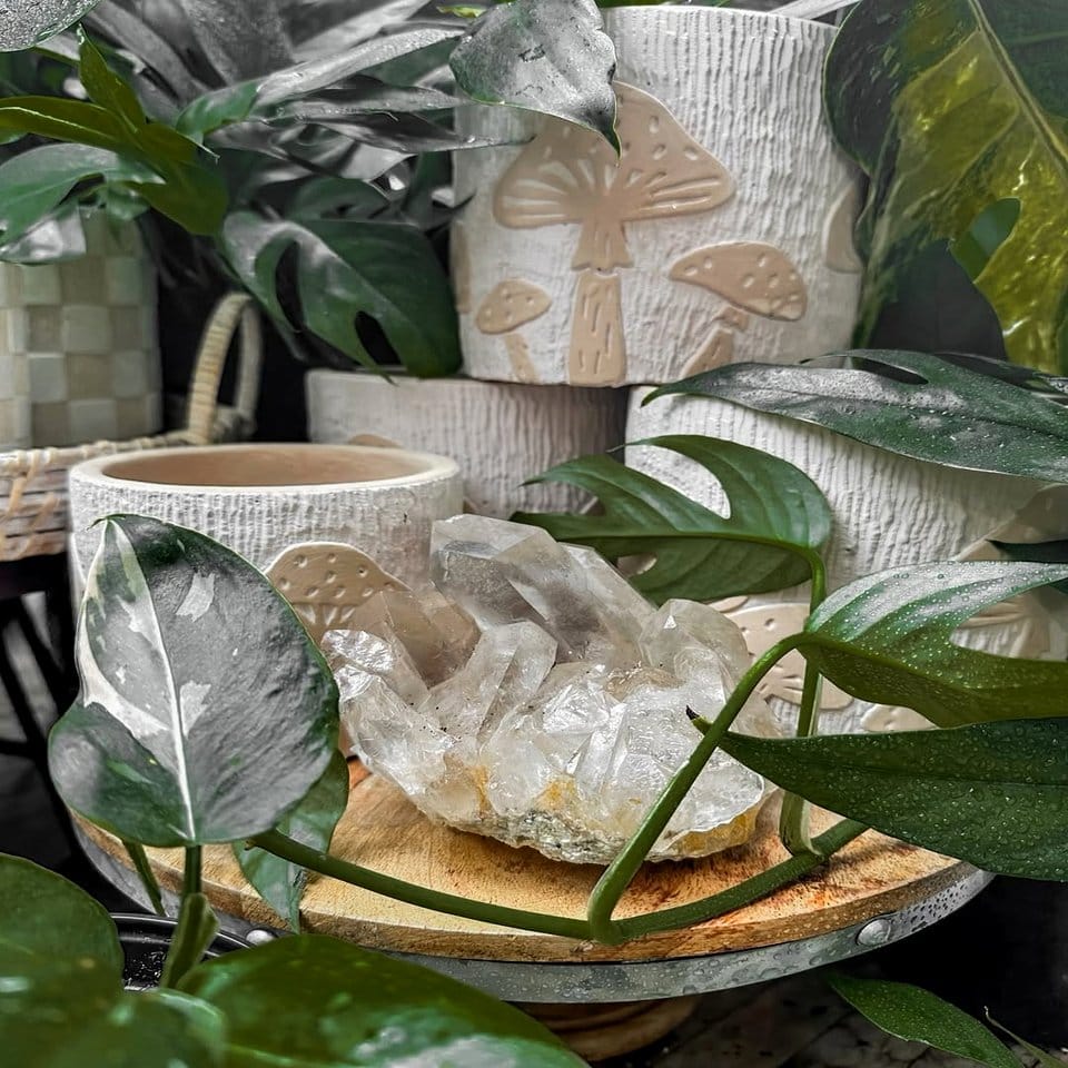 Oceanic-themed painted plant pot with seashells
