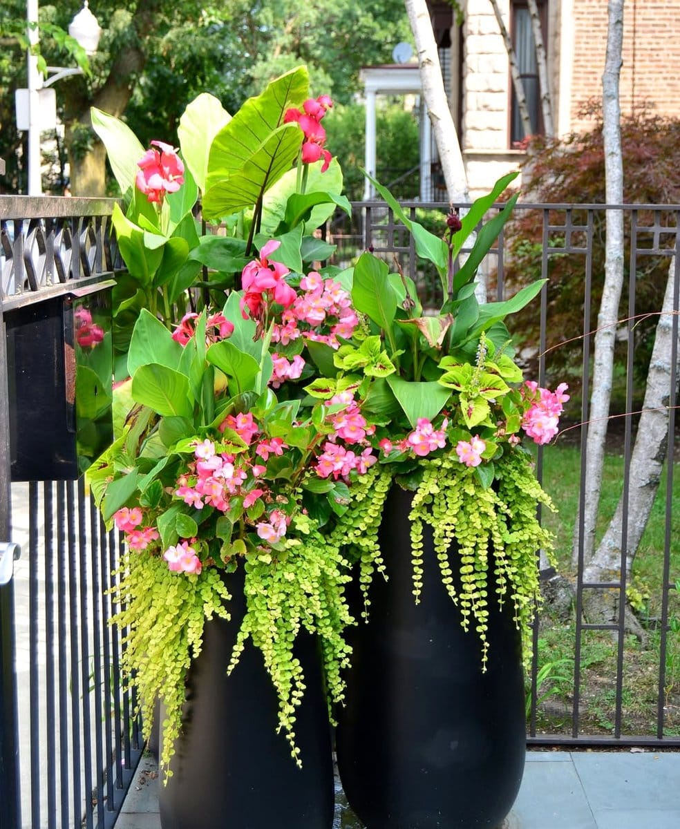 elegant hanging planters on staircase