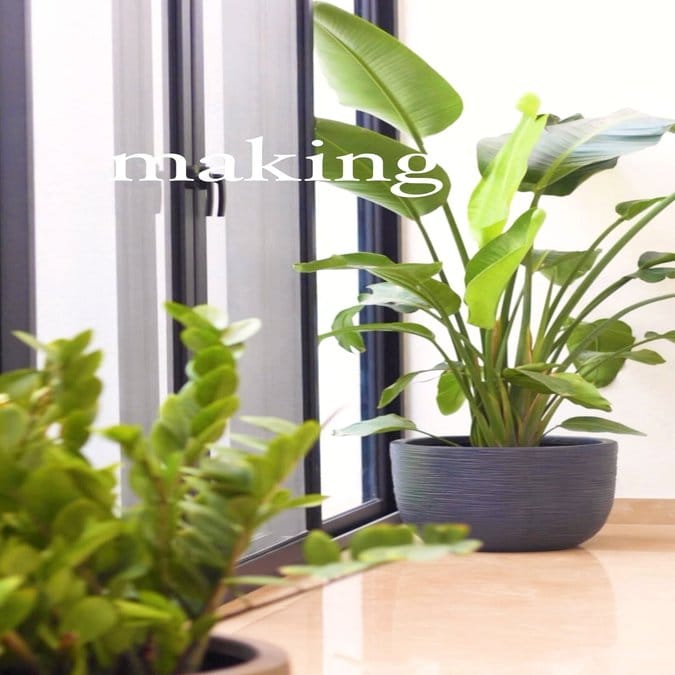 Linear plant pot arrangement on window sill