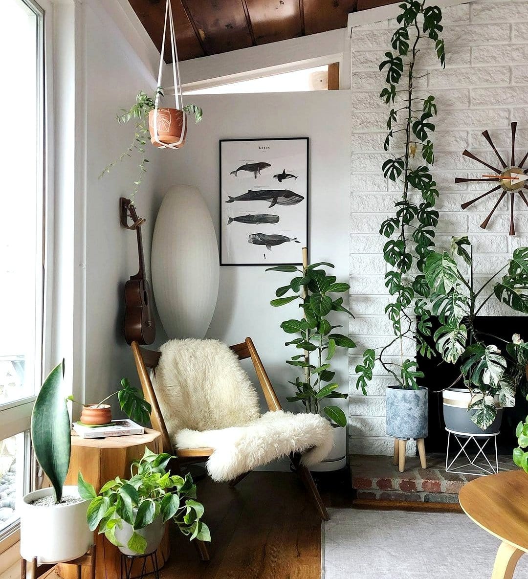 Reading nook with Siberian Fur and moss