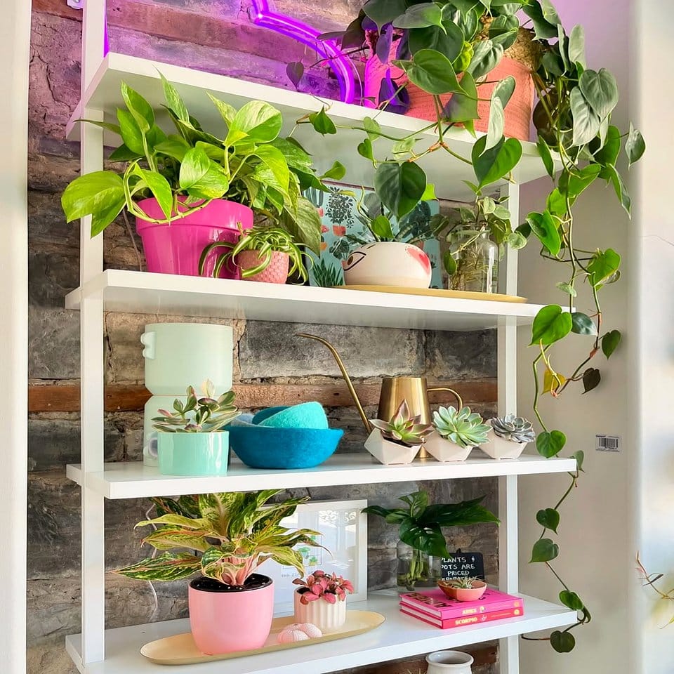 Chrome plant shelves in a cozy nook