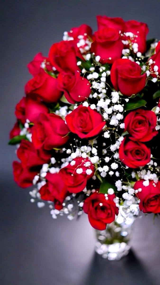 red roses in crystal vase