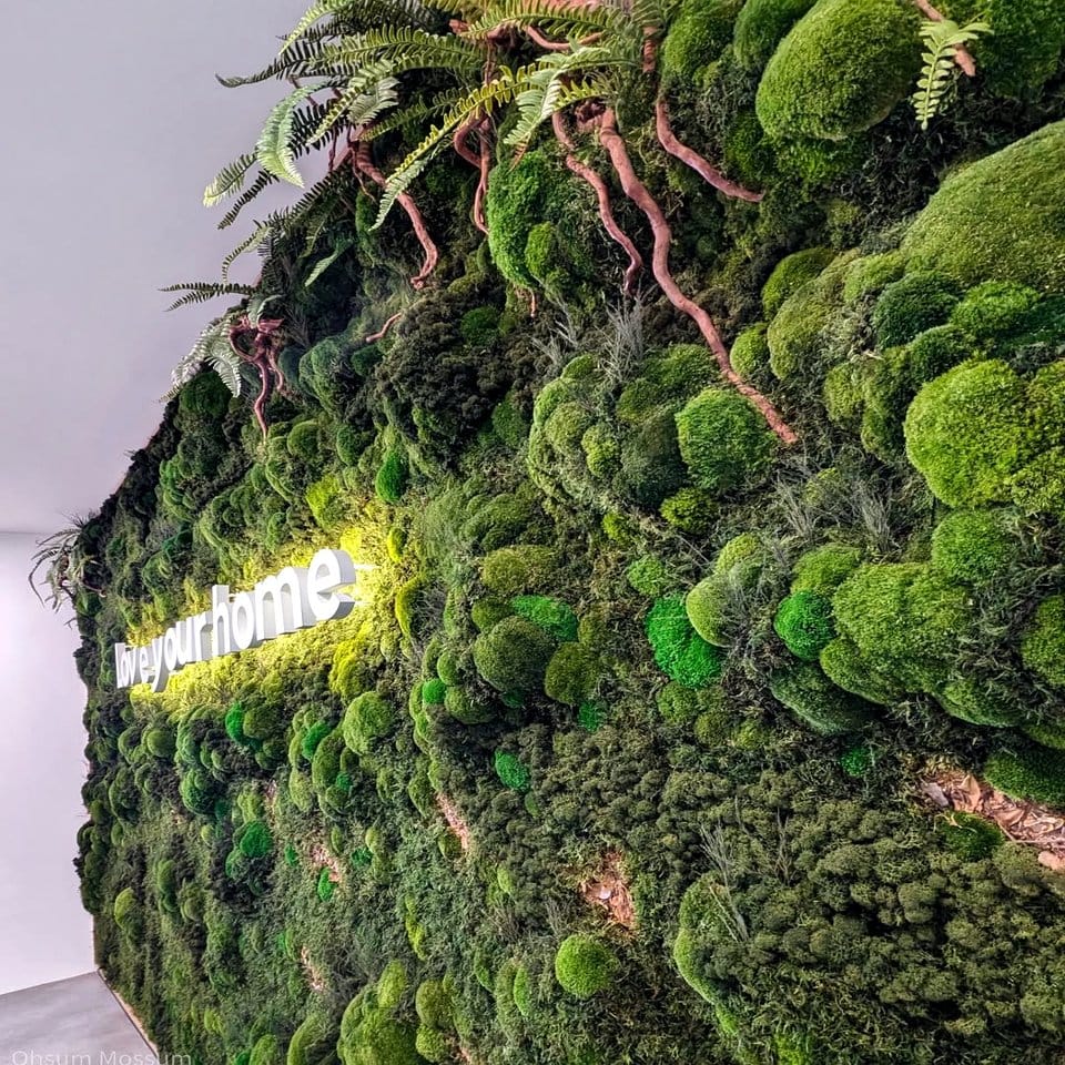 Lush miniature forest with moss and mushrooms