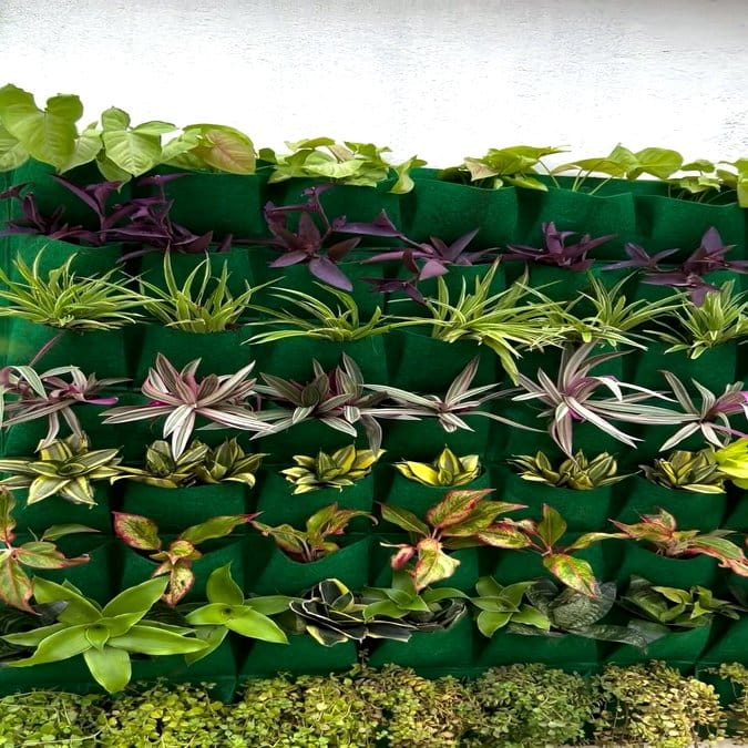 Innovative vertical garden frame with assorted plants