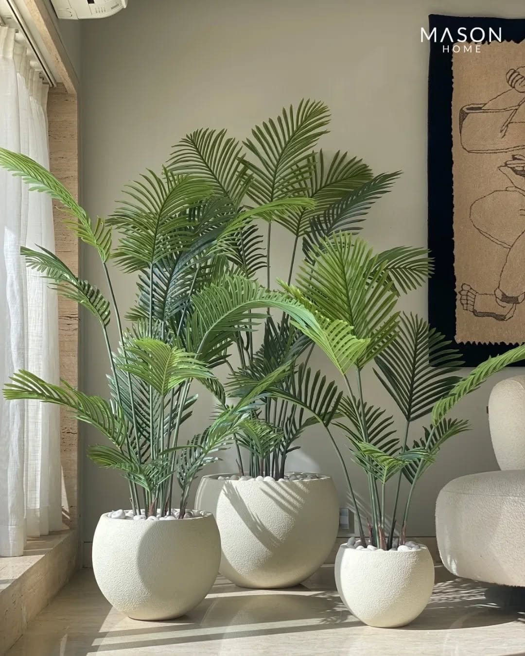 Lush areca palm in woven basket