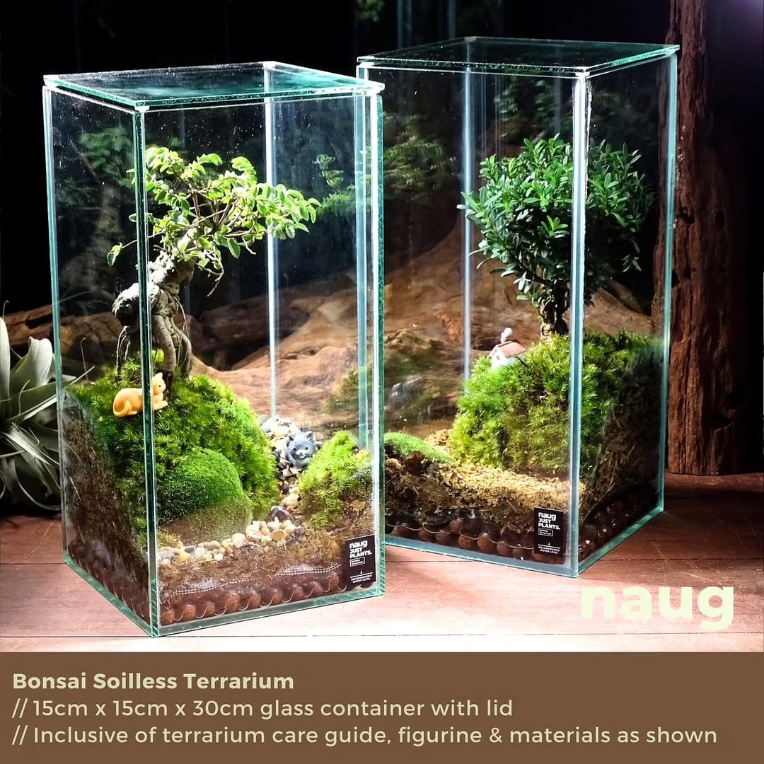 Glass terrarium with assorted herbs