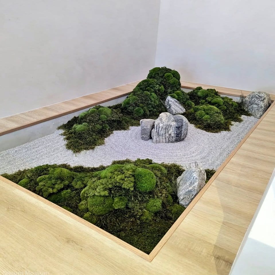 Indoor rock garden with Siberian Fur and moss