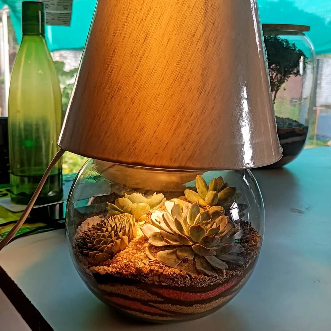 Lamp with shell and succulent base