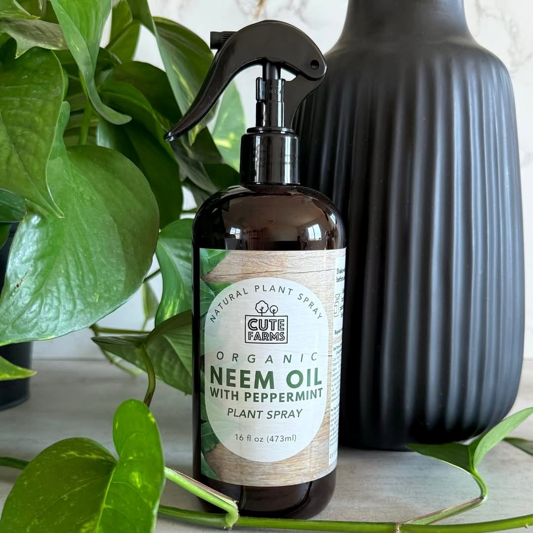 neem oil spray for orchids