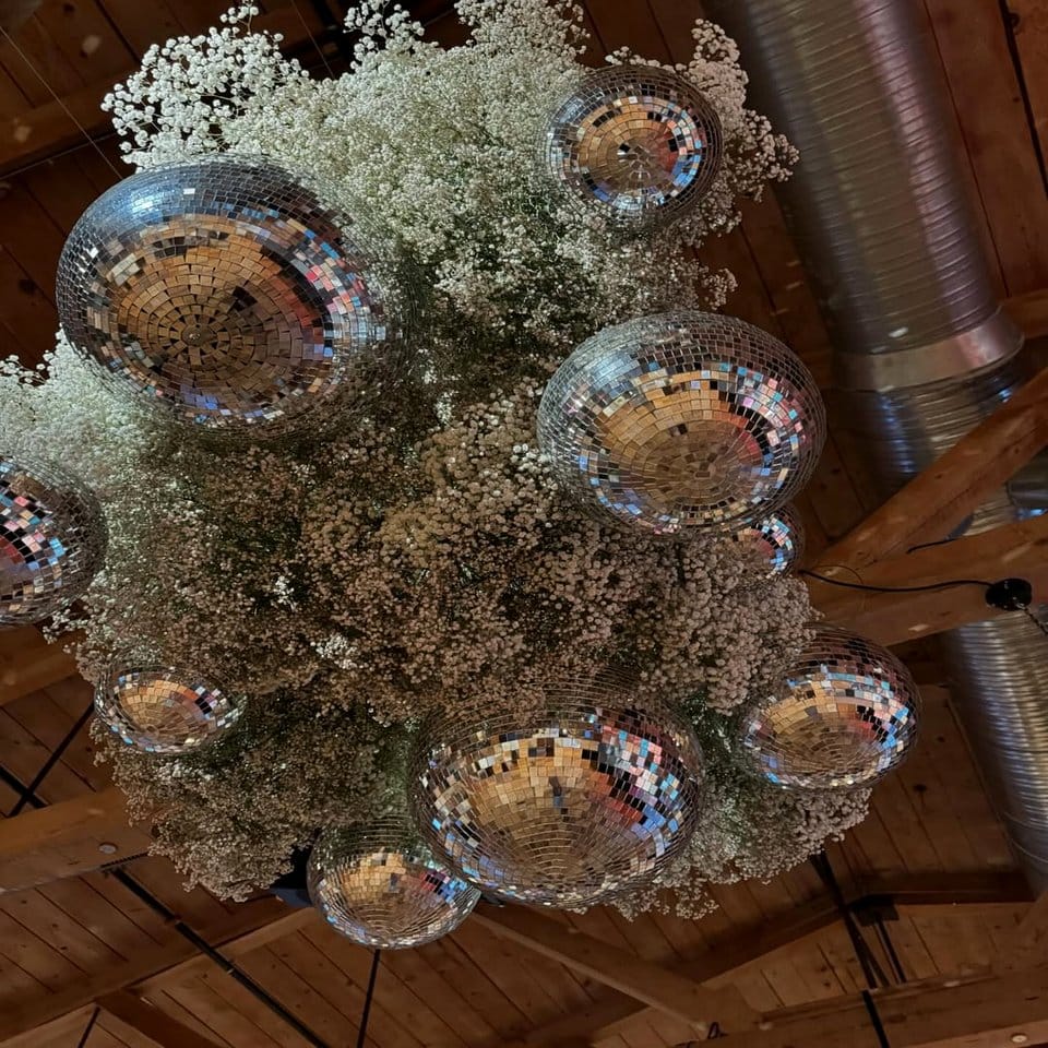 Minimalist room with disco ball plant decor