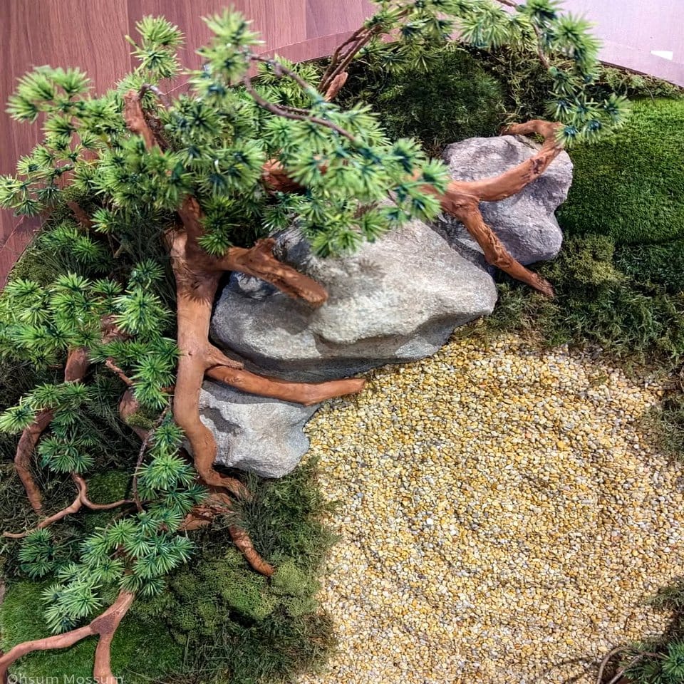 Water feature with Siberian Fur and moss