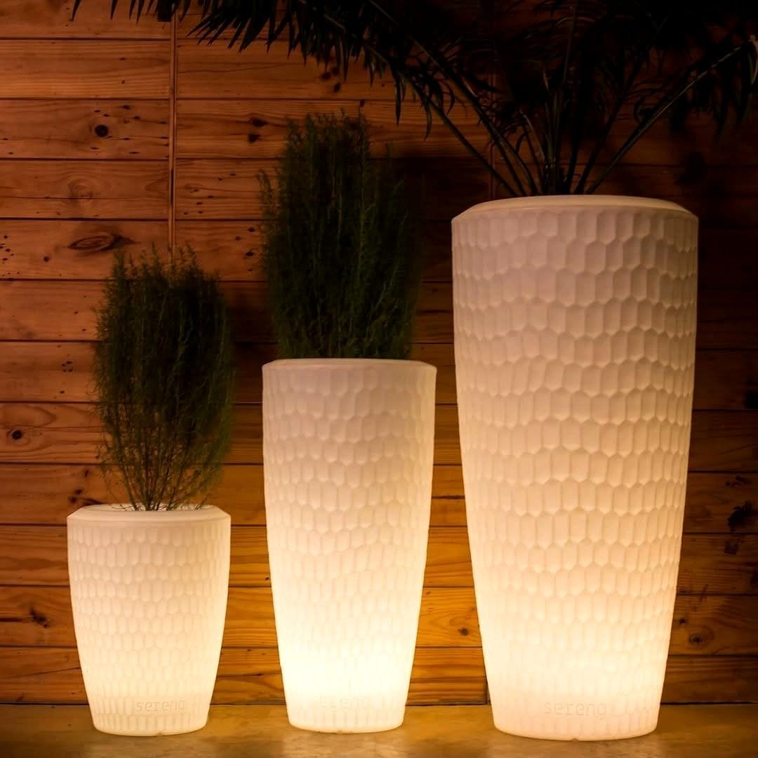 illuminated planter with greenery