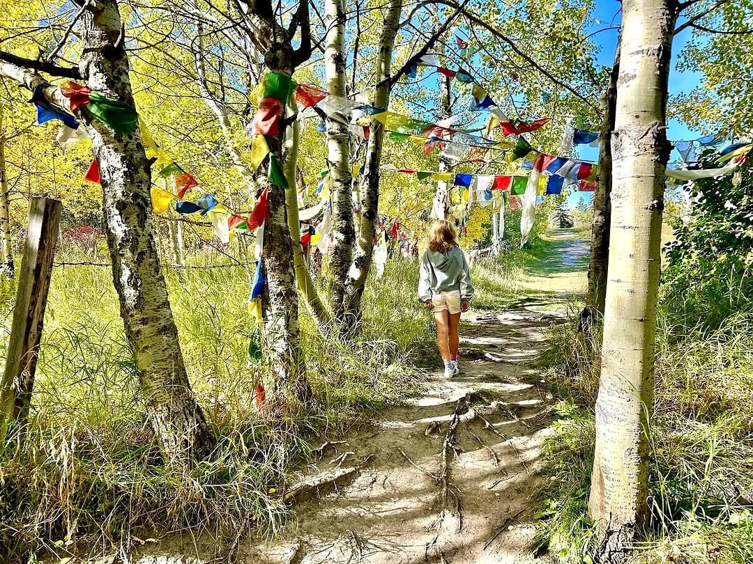 Peaceful garden with hanging prayer flags and plants