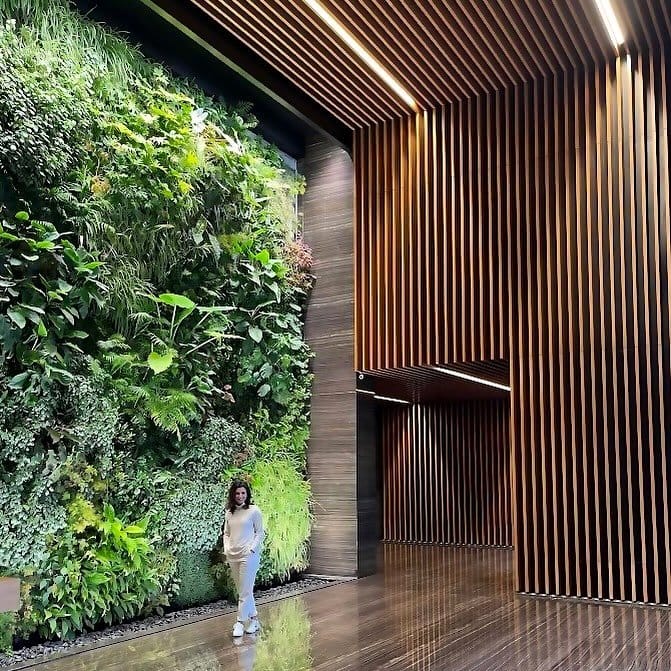lush green wall with hydroponic plants