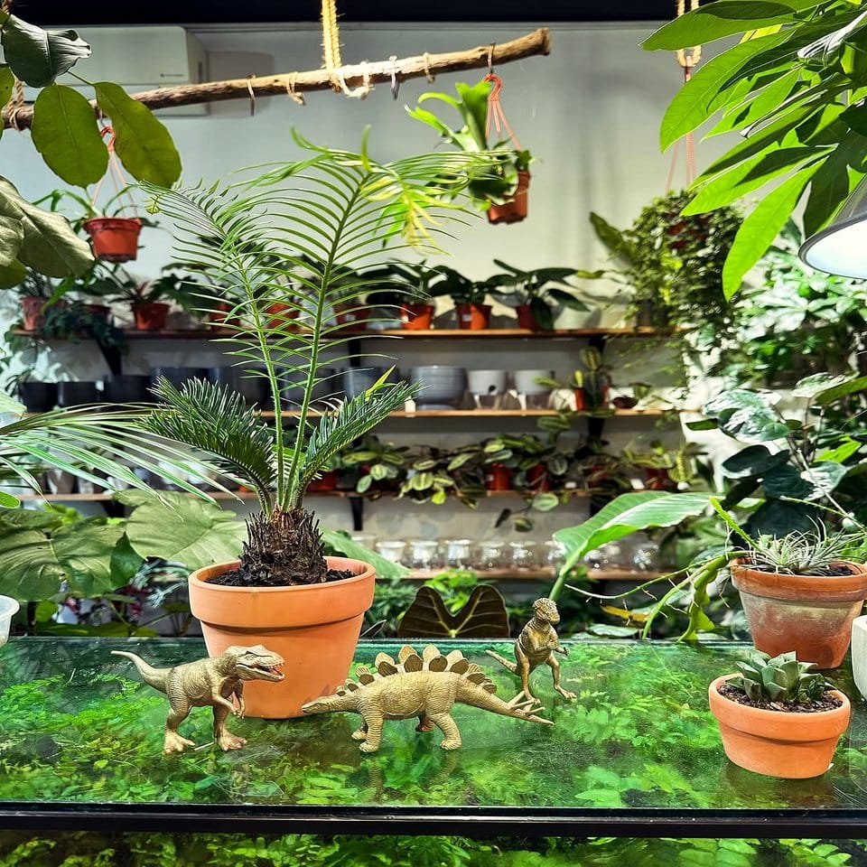 Holographic plant garden party setup